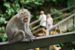 Indulge Your Senses: Private Vineyard Tours - Image 3